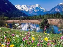 images-52